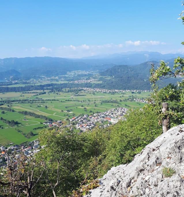 Apartma Juli Zirovnica Zewnętrze zdjęcie