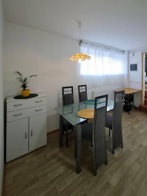Apartma Juli Zirovnica Zewnętrze zdjęcie
